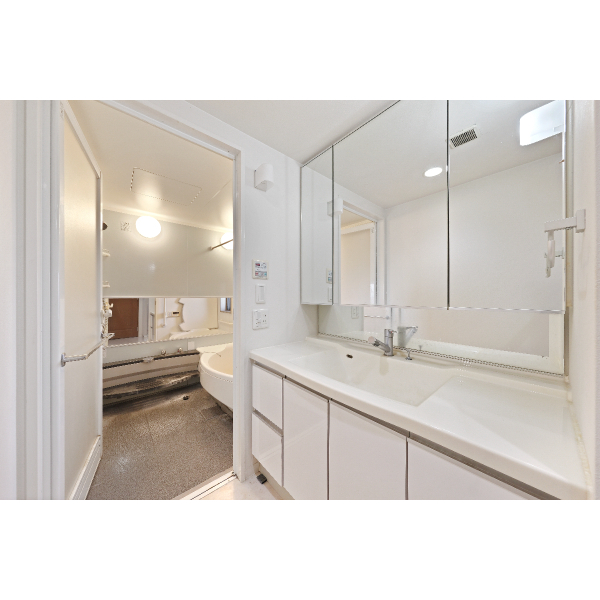 ライオンズマンション沢之町ガーデンタワー 洗面室