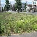 川崎市中原区市ノ坪 現地（１～３区画全体）