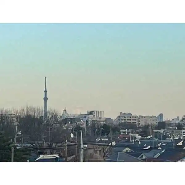 グランヒルズプラタナスアヴェニュー その他画像