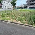 川崎市中原区市ノ坪 現地（１～３区画全体）