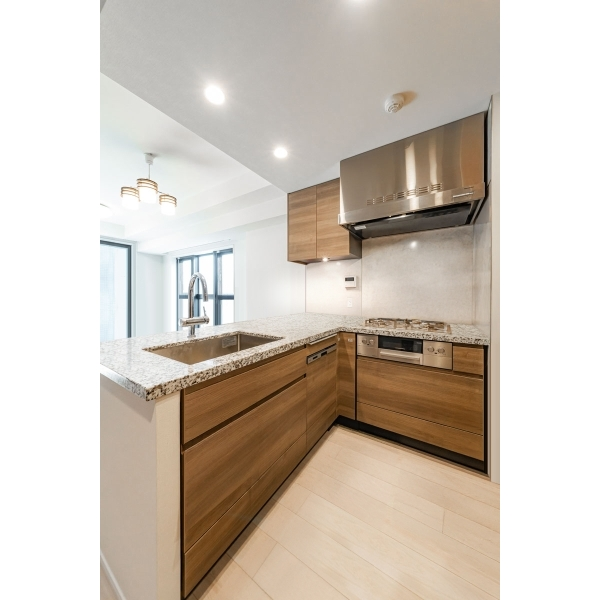 ザ・ライオンズ池袋 その他画像