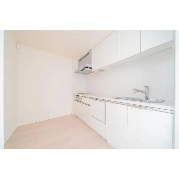 ザ・パークハウス中之島タワー その他画像