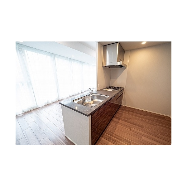 プレミストタワー靭本町 その他画像