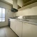 ロア錦 その他画像