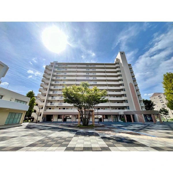 新蓮根団地 外観
