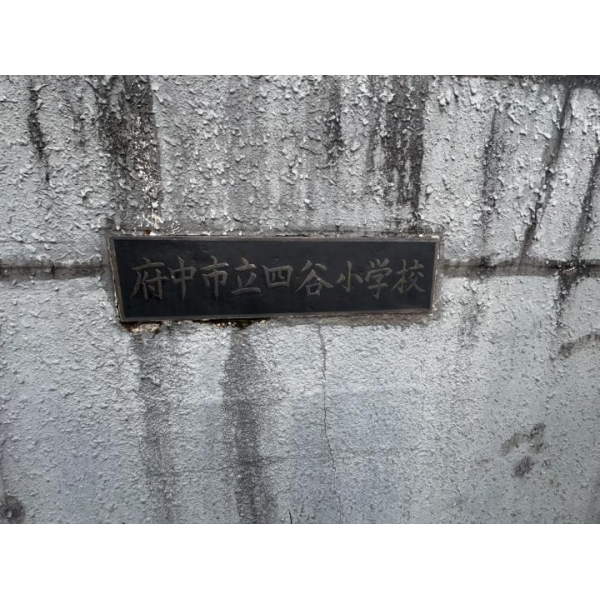 府中市四谷１丁目 その他画像