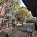 鎌倉市鎌倉山１丁目 その他画像