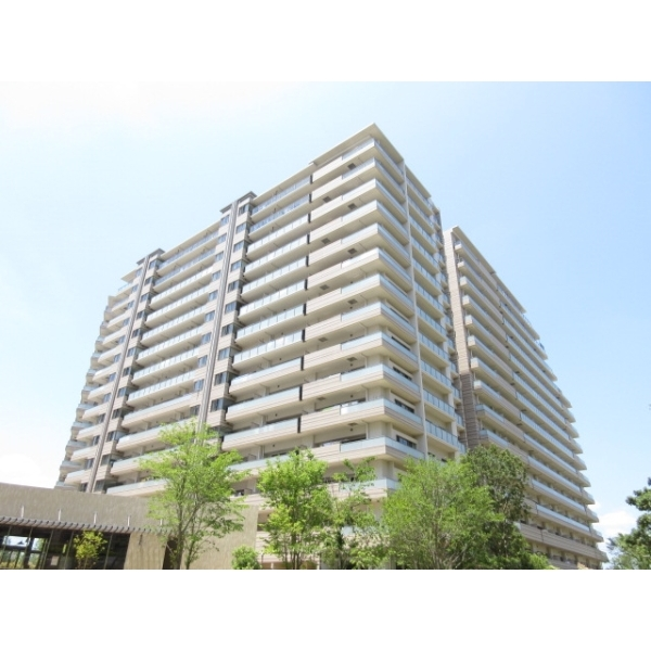 ミリカ・テラスＩＩＩ街区 外観