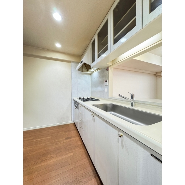 ランドステージ綾瀬公園 その他画像