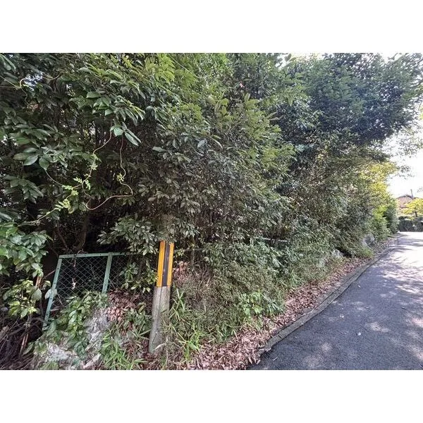 京都市右京区鳴滝音戸山町 土地写真