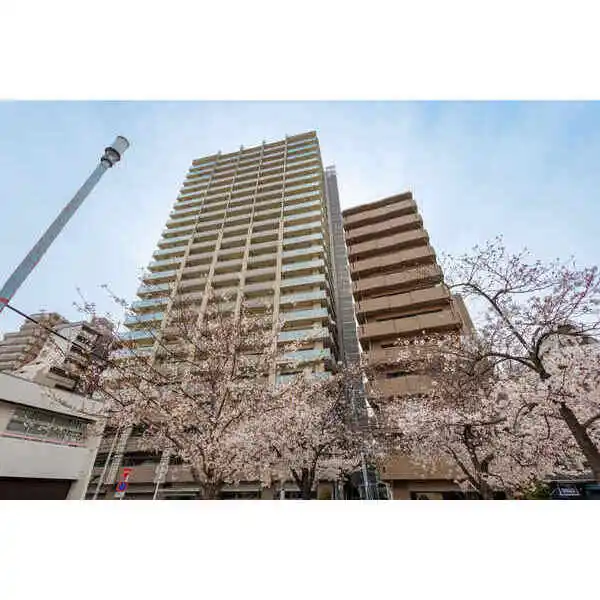ザ・パークハウス谷町五丁目 その他画像