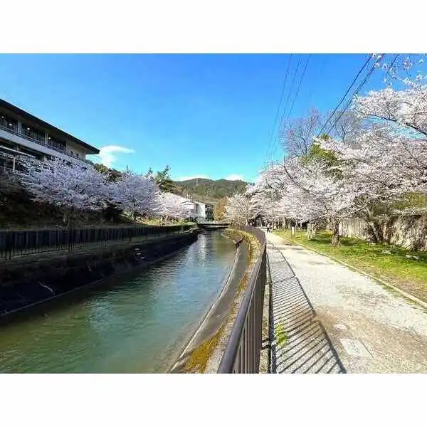 シャリエ京都山科 その他画像