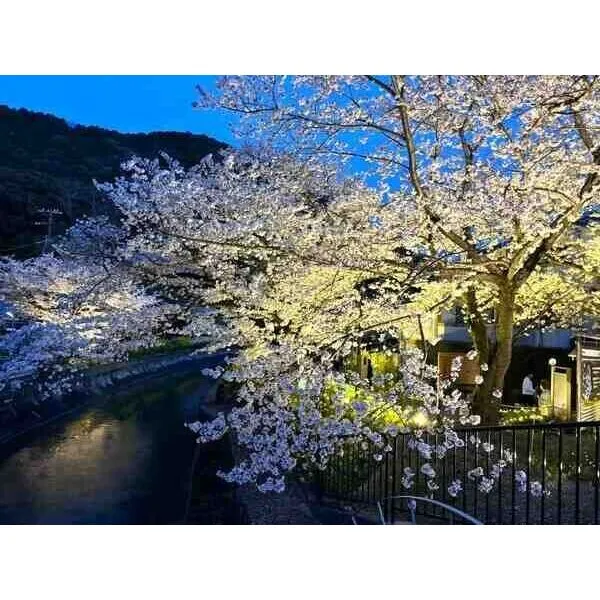 シャリエ京都山科 山科疎水／約30m