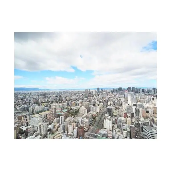 シエリアタワー大阪堀江 その他画像