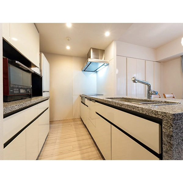 ブリリア武蔵小杉 その他画像