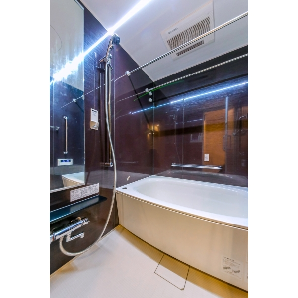 ザ・ヒルズ武蔵小金井レジデンス その他画像