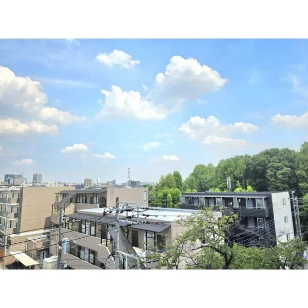 プラウド浦和仲町アクアフォーレ 眺望：バルコニーからは別所沼公園の緑を望みます(ズーム無)