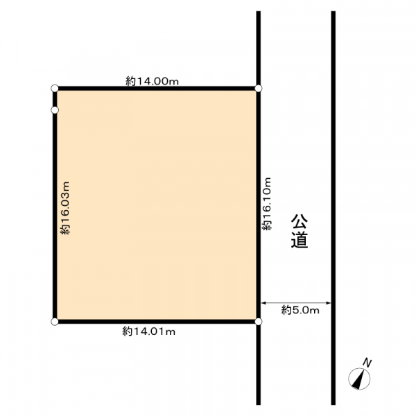 柏市松ケ崎 間取図