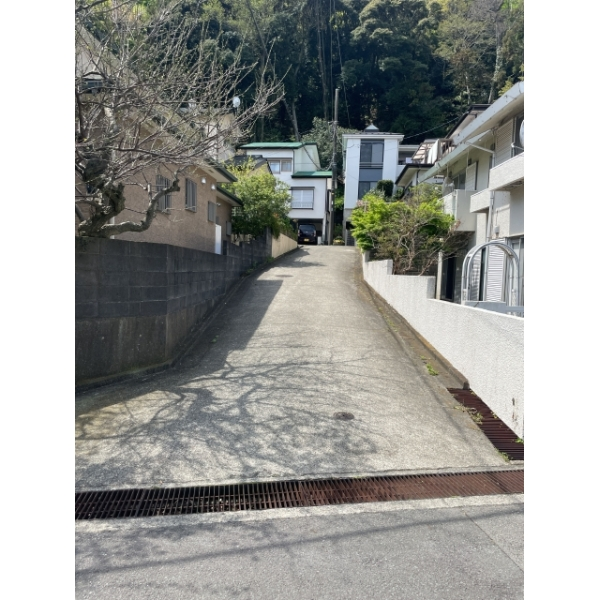 中郡大磯町高麗２丁目 前面道路
