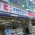 杉並区和泉３丁目 その他画像