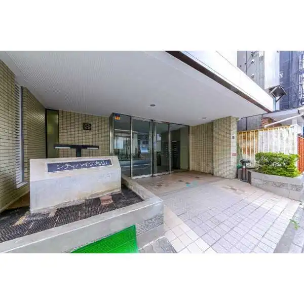 シティハイツ大山 その他画像