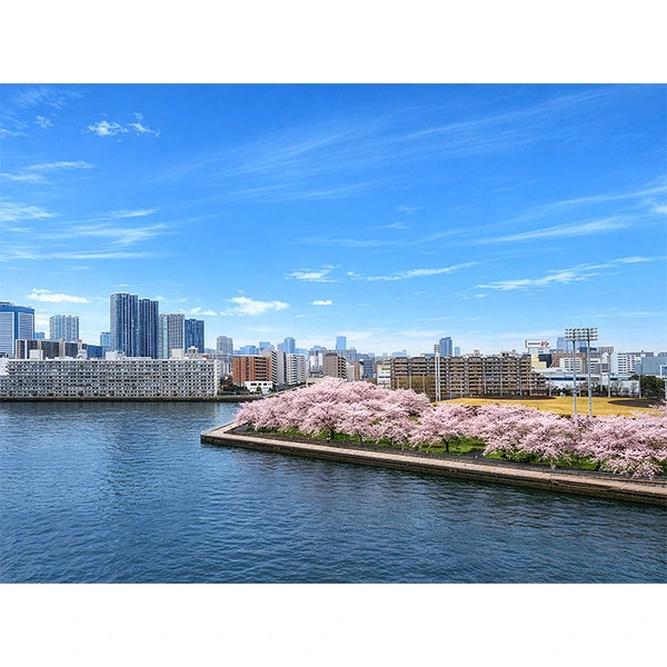 ブリリア辰巳キャナルテラス その他画像