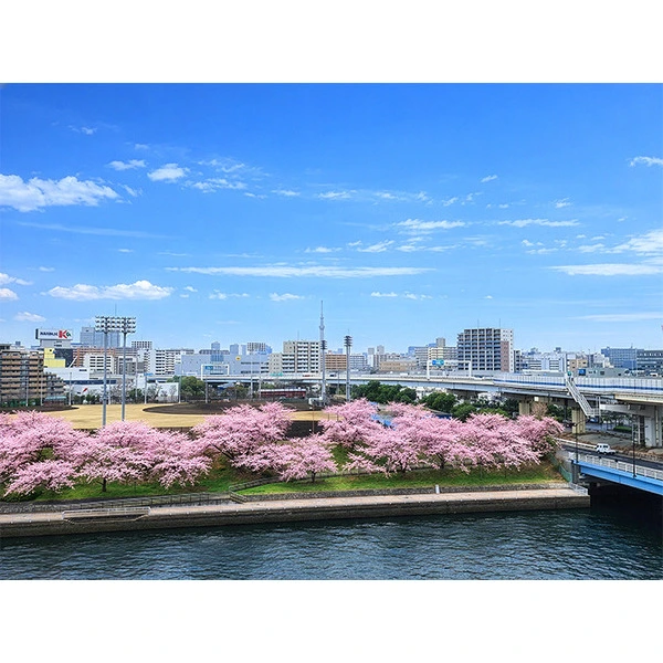 ブリリア辰巳キャナルテラス その他画像