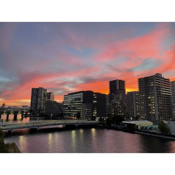 プラウドシティ東雲キャナルマークス 眺望：夕景（バルコニーより撮影・ズームなし）