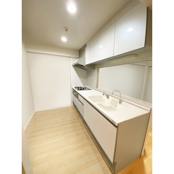 東急ドエル・アルス相模大野 その他画像