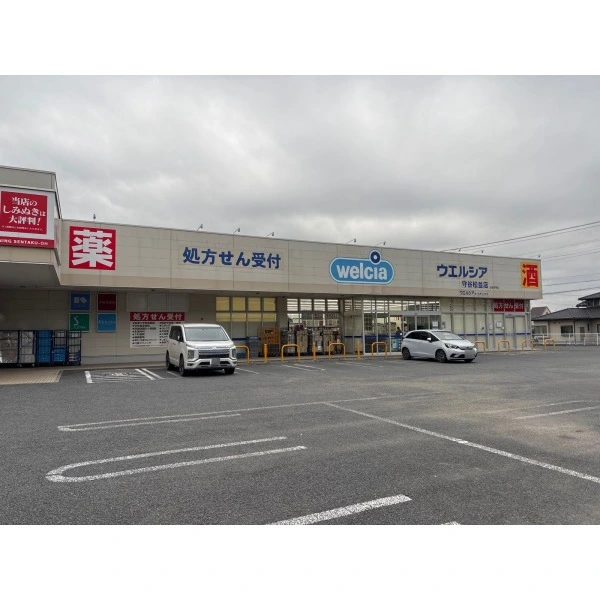 守谷市松並 ウエルシア守谷松並店　（ドラッグストア）まで約290m（徒歩4分）