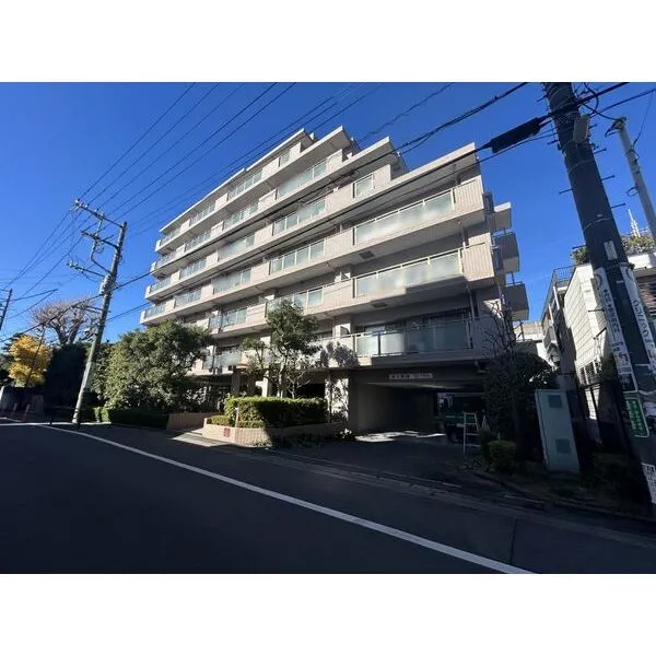 ヒルズ武蔵小杉 外観