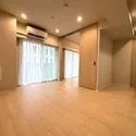 藤和半蔵門コープ 2026年8月リフォーム実施の綺麗な室内。LDと洋室がバルコニーに面し、心地よい風が通ります。