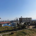 神戸市灘区五毛通２丁目 その他外観