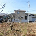 西尾市鳥羽町十三新田 物件東側から撮影した写真です。