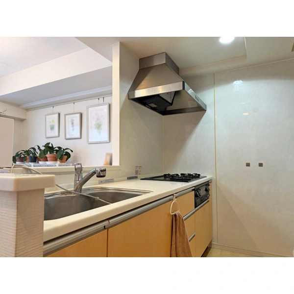 エクセレント八柱駅前 その他画像