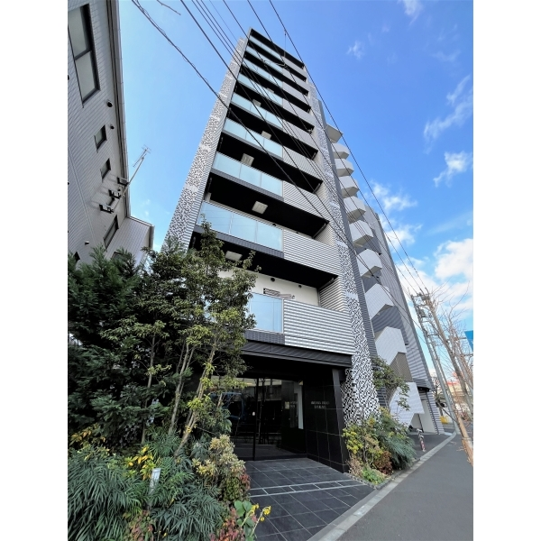 ミルーナヒルズ亀有 外観