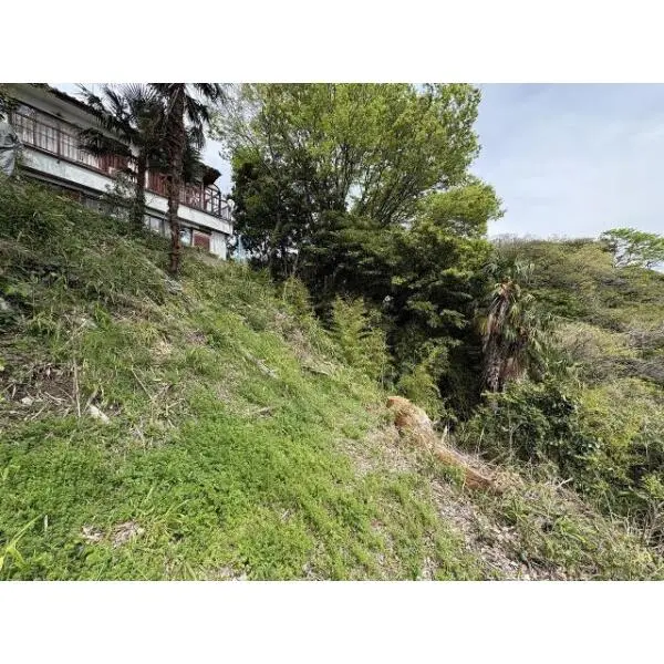 横浜市中区山手町 その他画像