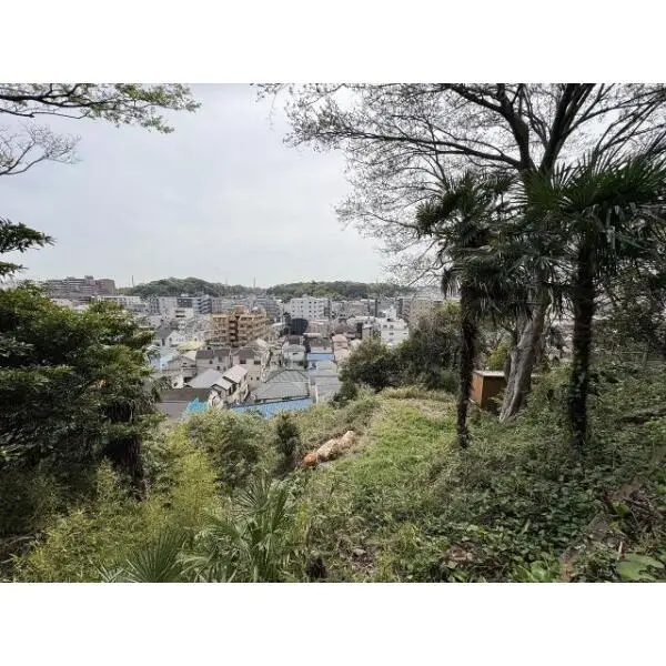 横浜市中区山手町 その他画像