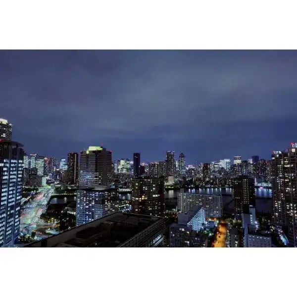 シティタワーズ豊洲ザ・シンボル その他画像