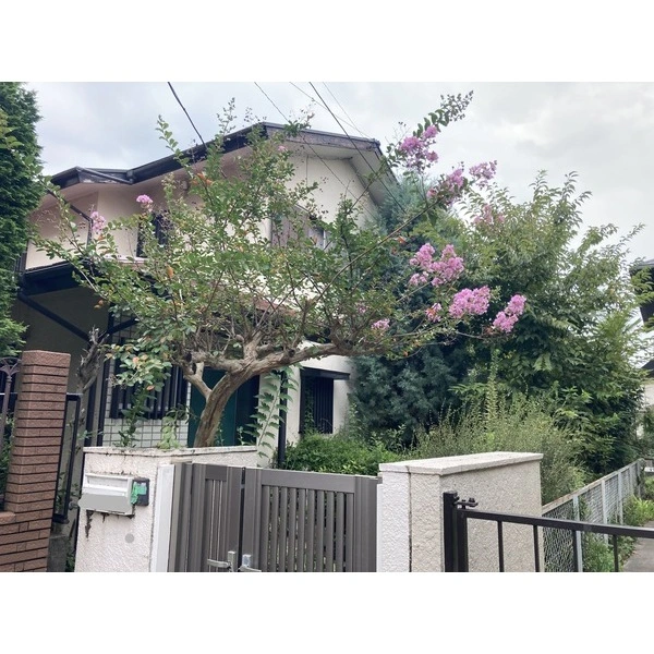 大和市つきみ野３丁目 外観