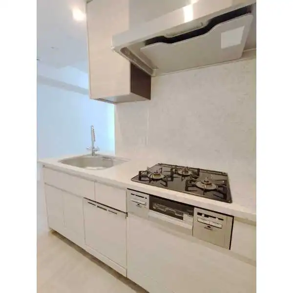 パークシティ武蔵小山ザタワー その他画像