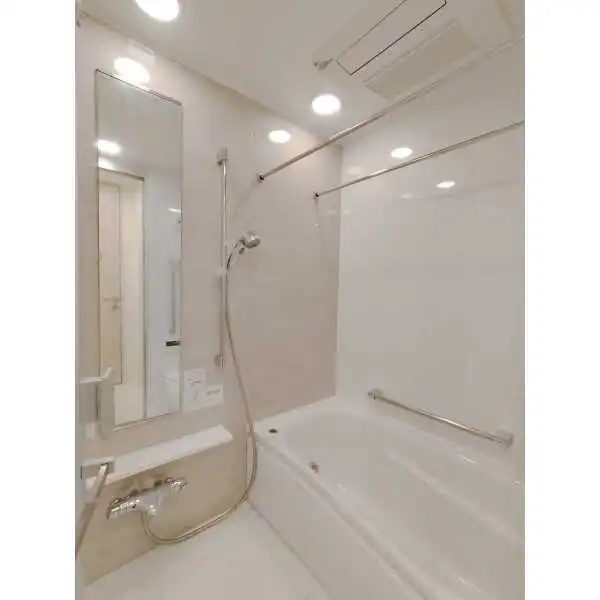 パークシティ武蔵小山ザタワー その他画像