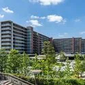 パークビレッジ南町田 外観：敷地内。四季折々の植栽が植えられています