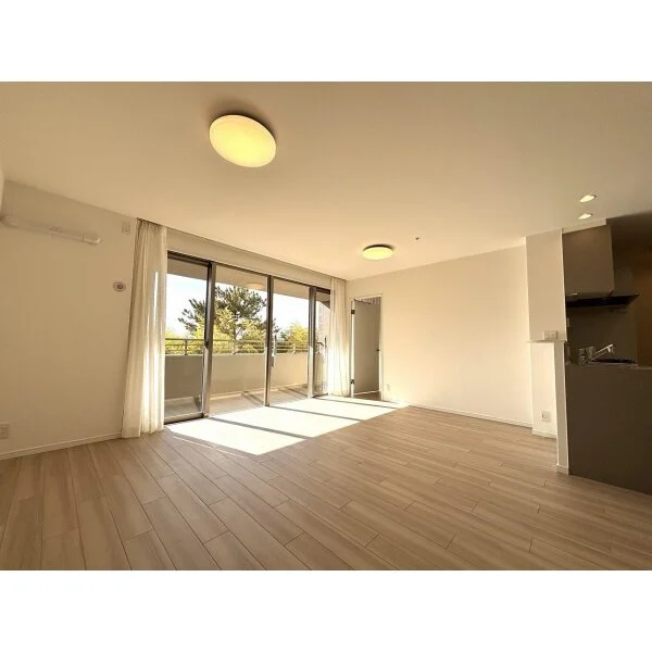 ルネ・グランディル その他画像