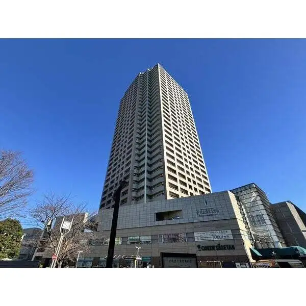 石神井公園ピアレス 外観