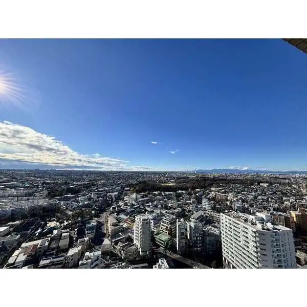 石神井公園ピアレス その他画像