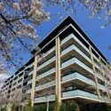 ルネ横浜戸塚 2021年築、7階建3階部分