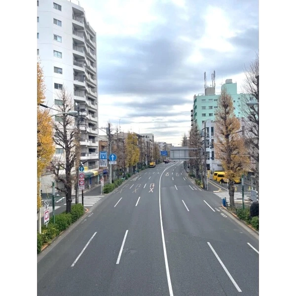 ユニーブル荻窪 前面道路