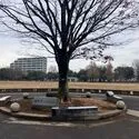 ユニーブル荻窪 桃井原っぱ公園（公園）まで約450m（徒歩6分）