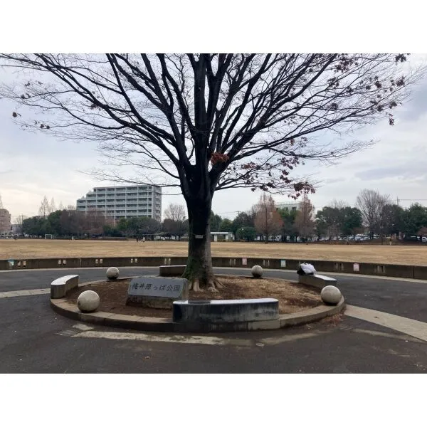 ユニーブル荻窪 桃井原っぱ公園（公園）まで約450m（徒歩6分）